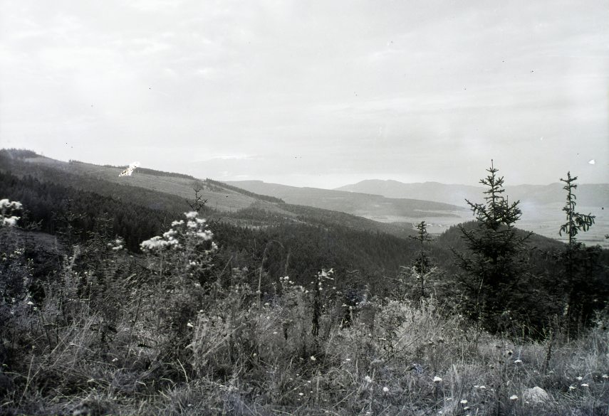 fortepan_95371.jpg