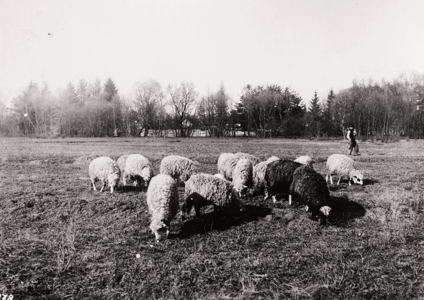 fortepan_95984.jpg